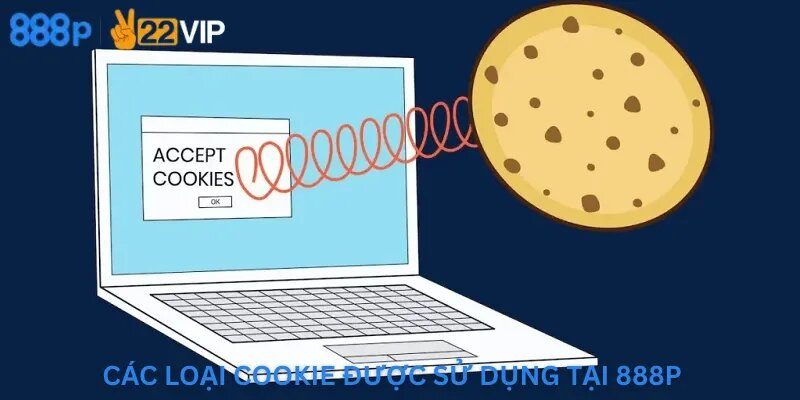 Các loại Cookie được sử dụng tại 888P