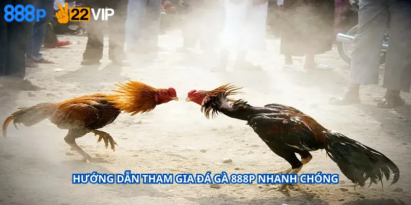 Hướng Dẫn Tham Gia Đá Gà 888P Nhanh Chóng