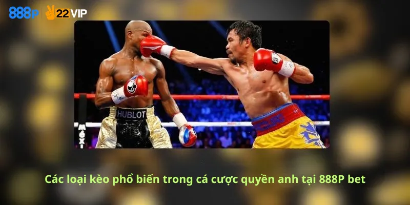 Các loại kèo phổ biến trong cá cược quyền anh tại 888P bet