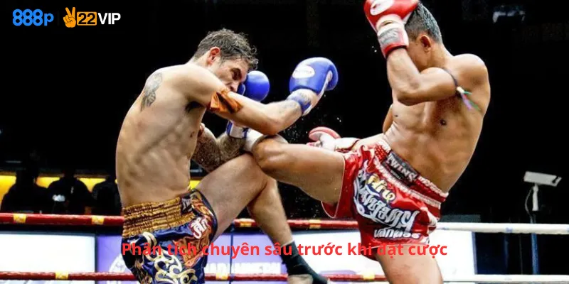 Phân tích chuyên sâu trước khi đặt cược